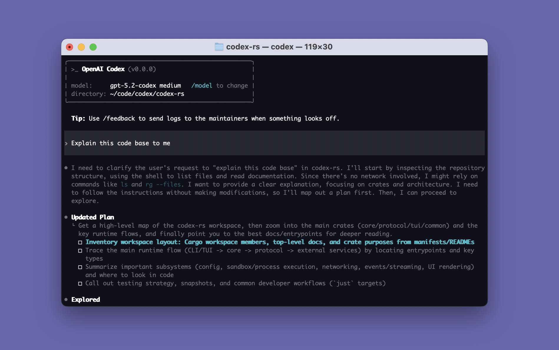 Codex CLI splash banner